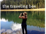 23 and Unfunny moves to The Traveling Bee